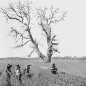 Sabres, Le Nan, châtaigner, sarcleuses, 2 avril 1913